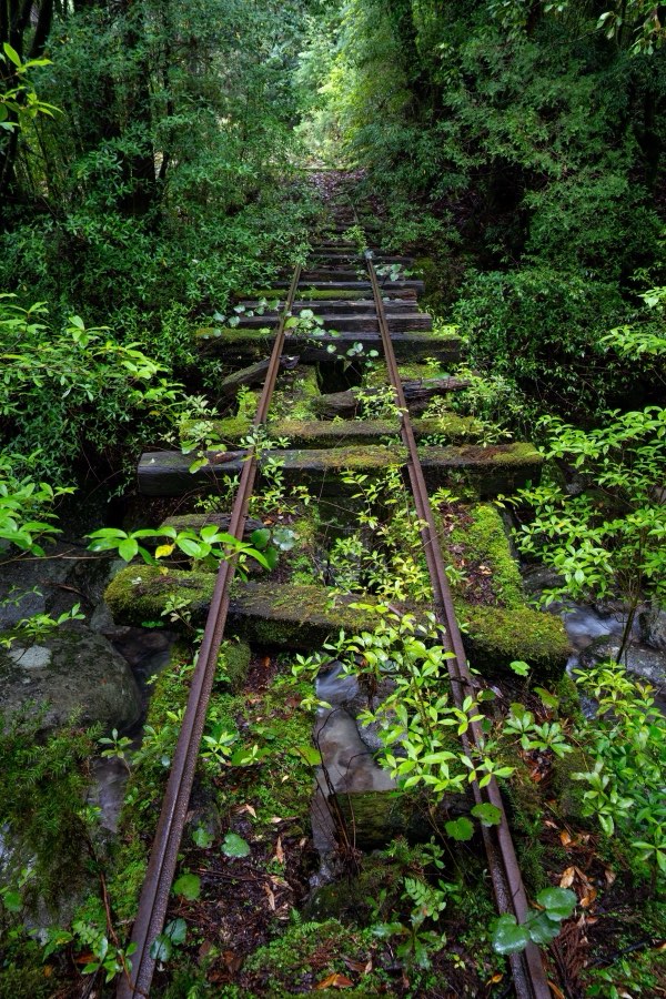 Kagoshima, Printemps 2025, Japon. Photographie de Jordy Meow, 3/18
