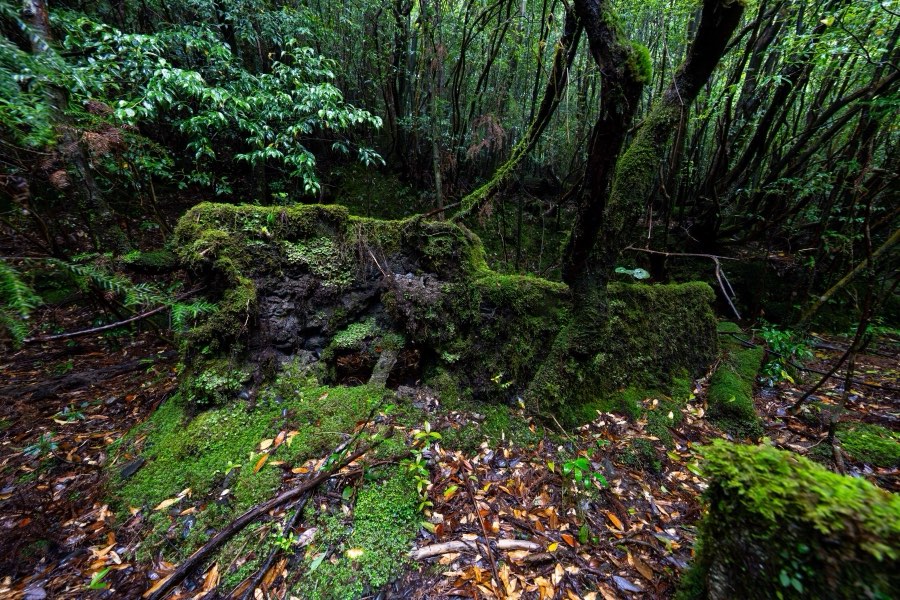 Kagoshima, Printemps 2025, Japon. Photographie de Jordy Meow, 6/18