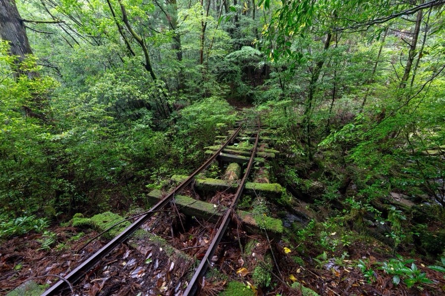Kagoshima, Printemps 2025, Japon. Photographie de Jordy Meow, 7/18