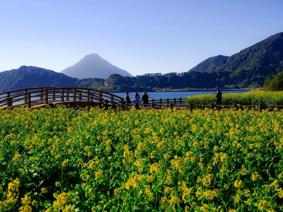 Kagoshima, Hiver 2022, Japon. Photographie de Jordy Meow, 10/18