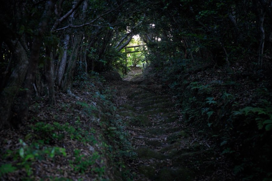 Kagoshima, Printemps 2018, Japon. Photographie de Jordy Meow, 17/18