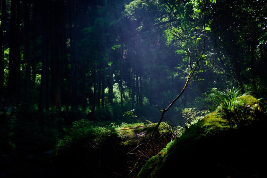 Kumamoto, Été 2015, Japon. Photographie de Jordy Meow, 220/229