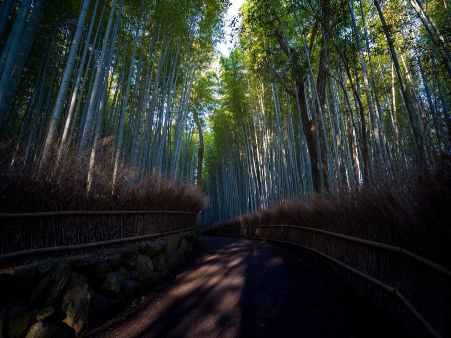 Kyoto, Printemps 2020, Japon. Photographie de Jordy Meow, 3/28