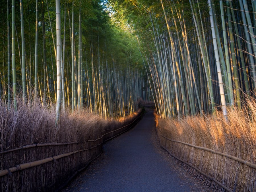 Kyoto, Printemps 2020, Japon. Photographie de Jordy Meow, 4/28