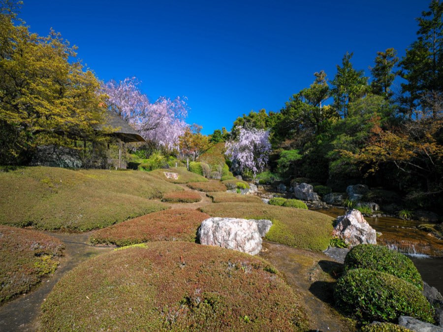 Kyoto, Printemps 2020, Japon. Photographie de Jordy Meow, 6/28