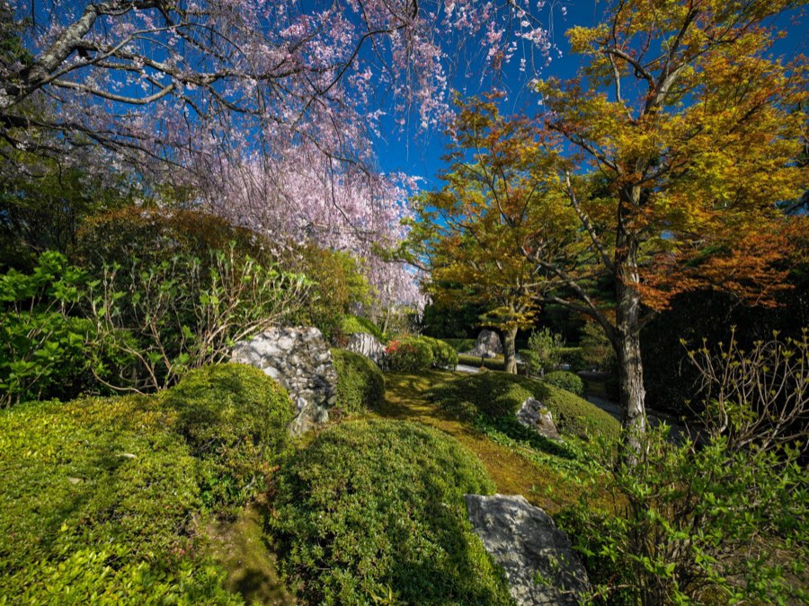 Kyoto, Printemps 2020, Japon. Photographie de Jordy Meow, 7/28