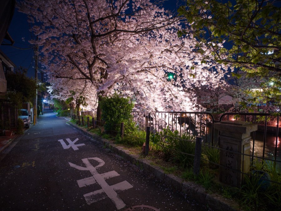 Kyoto, Printemps 2020, Japon. Photographie de Jordy Meow, 9/28