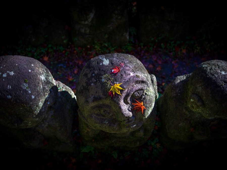 Kyoto, Automne 2019, Japon. Photographie de Jordy Meow, 13/28