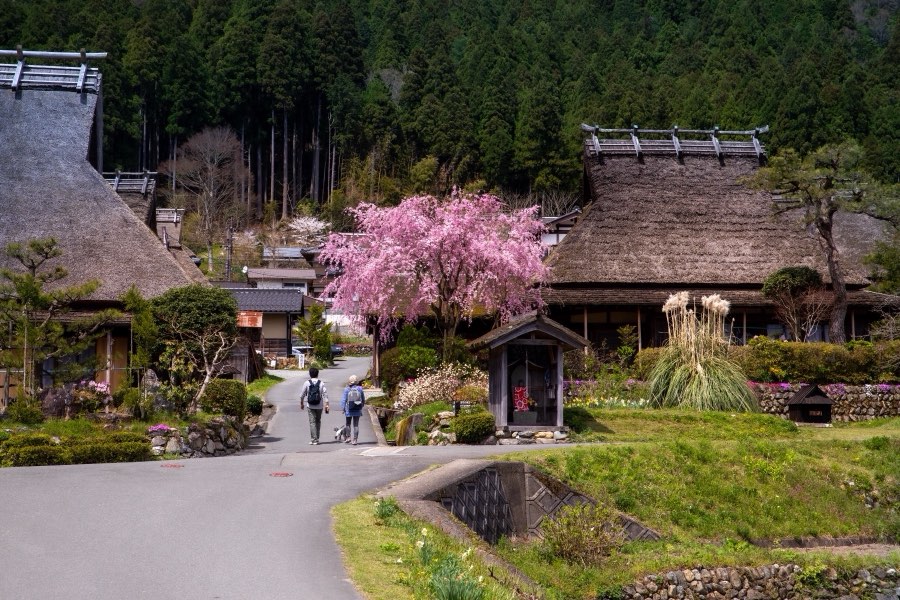Kyoto, Printemps 2019, Japon. Photographie de Jordy Meow, 16/28