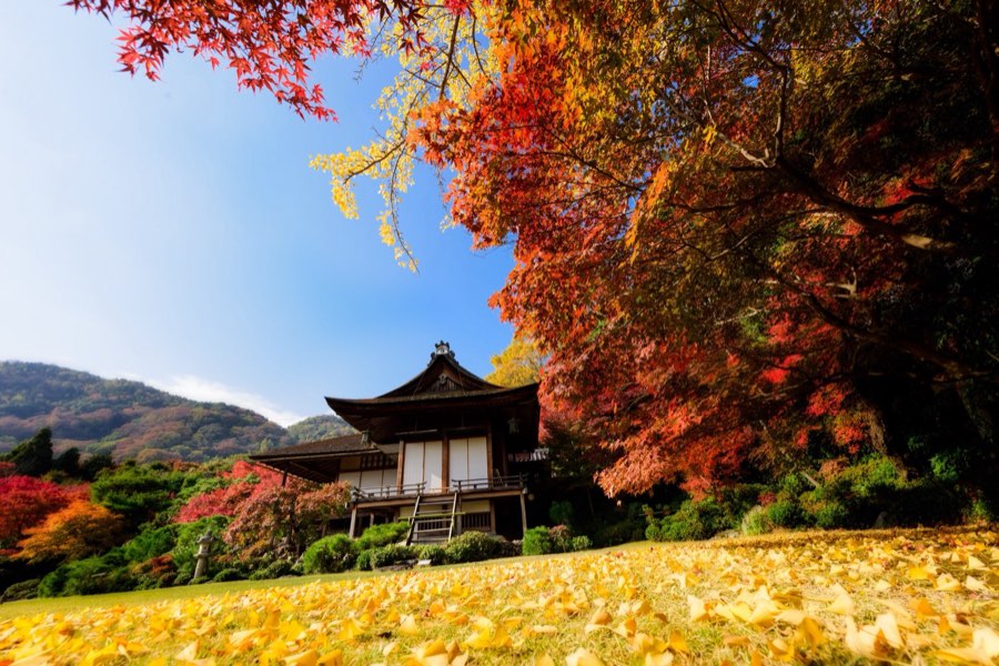 Kyoto, Automne 2014, Japon. Photographie de Jordy Meow, 18/28
