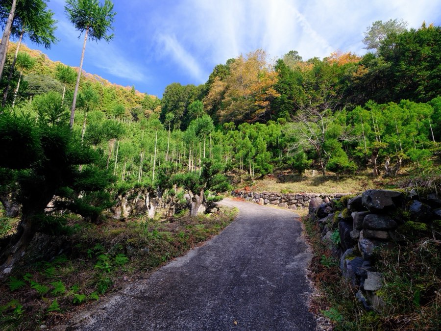 Kyoto, Automne 2022, Japon. Photographie de Jordy Meow, 20/28