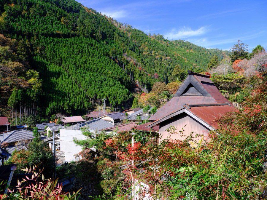 Kyoto, Automne 2022, Japon. Photographie de Jordy Meow, 21/28