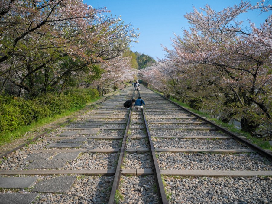 Kyoto, Printemps 2020, Japon. Photographie de Jordy Meow, 23/28