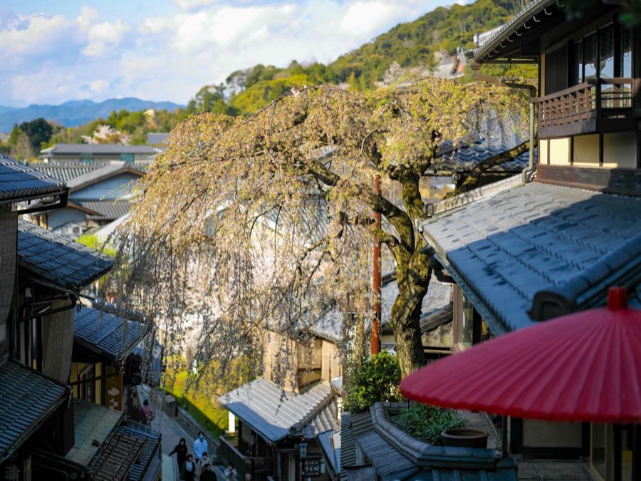 Kyoto, Printemps 2020, Japon. Photographie de Jordy Meow, 24/28