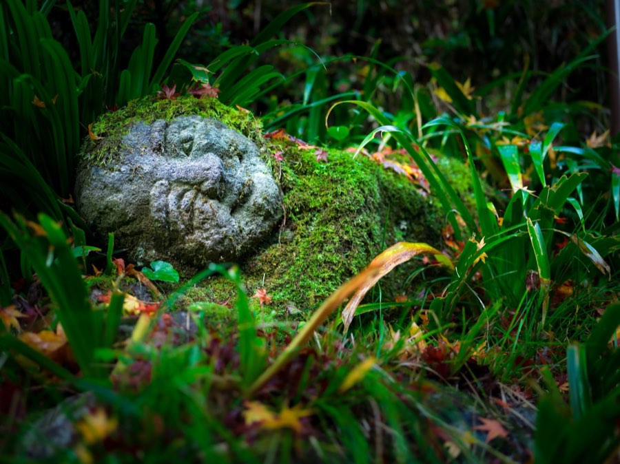 Kyoto, Automne 2019, Japon. Photographie de Jordy Meow, 25/28