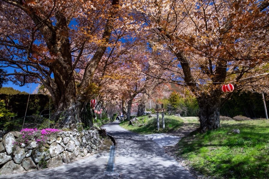 Mie, Printemps 2019, Japon. Photographie de Jordy Meow, 13/24