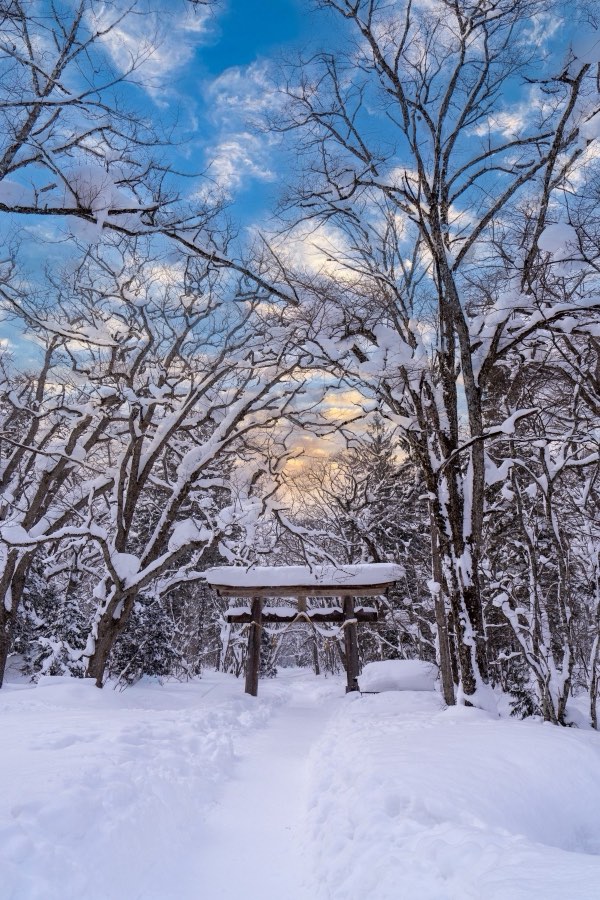 Nagano, Hiver 2025, Japon. Photographie de Jordy Meow, 1/33