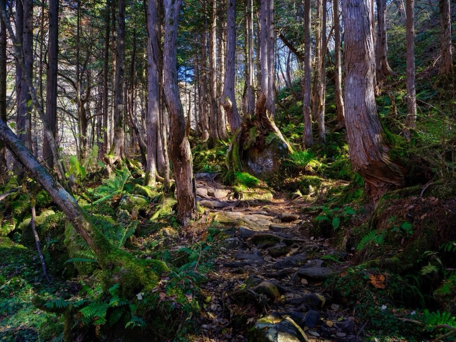 Nagano, Automne 2022, Japon. Photographie de Jordy Meow, 3/33