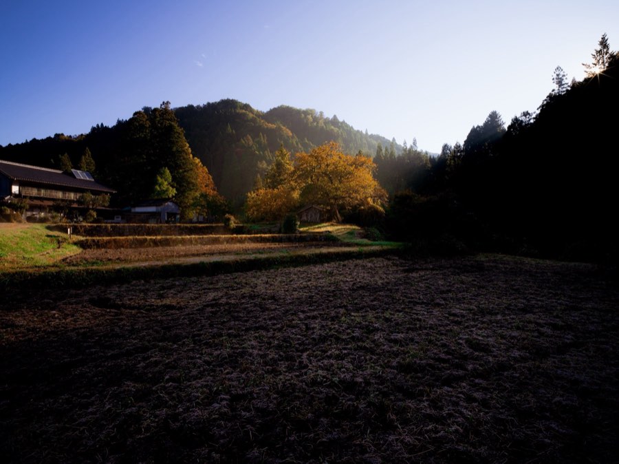 Nagano, Automne 2019, Japon. Photographie de Jordy Meow, 6/33