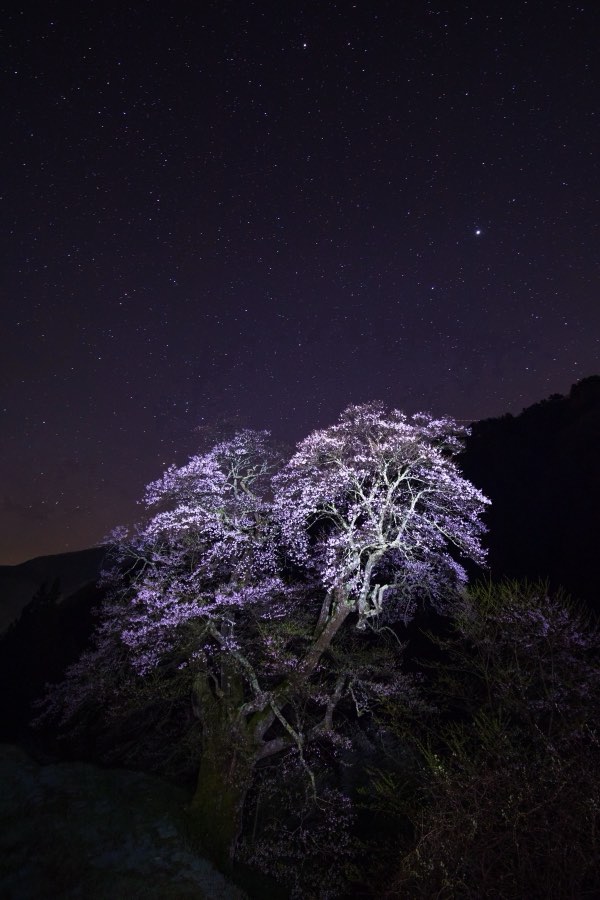 Nagano, Printemps 2017, Japon. Photographie de Jordy Meow, 15/33