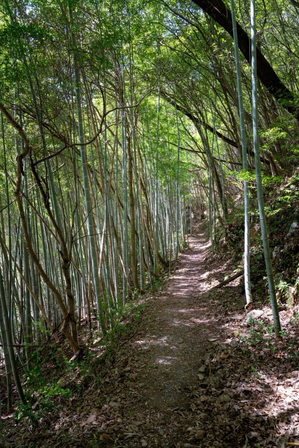 Nagano, Printemps 2026, Japon. Photographie de Jordy Meow, 20/33