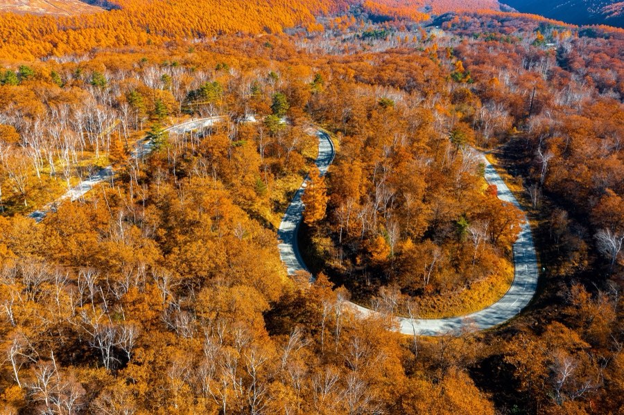 Nagano, Automne 2021, Japon. Photographie de Jordy Meow, 23/33