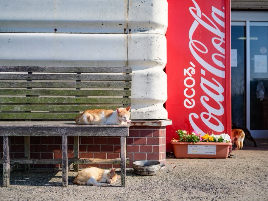 Nagasaki, Printemps 2022, Japon. Photographie de Jordy Meow, 250/289
