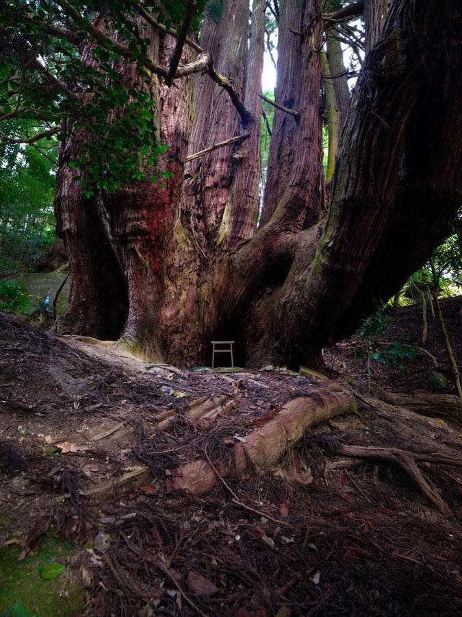 Nara, Automne 2022, Japon. Photographie de Jordy Meow, 1/26
