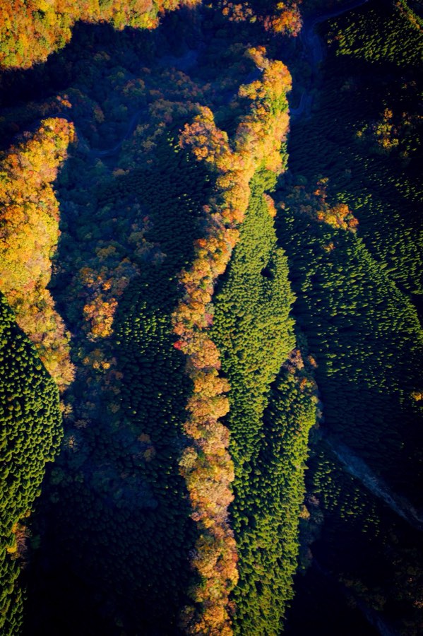 Nara, Automne 2019, Japon. Photographie de Jordy Meow, 2/26