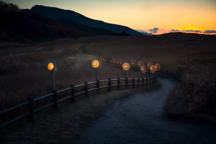 Nara, Automne 2016, Japon. Photographie de Jordy Meow, 4/26