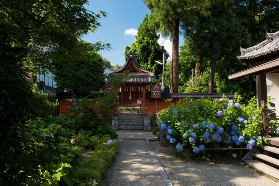 Nara, Été 2016, Japon. Photographie de Jordy Meow, 19/26