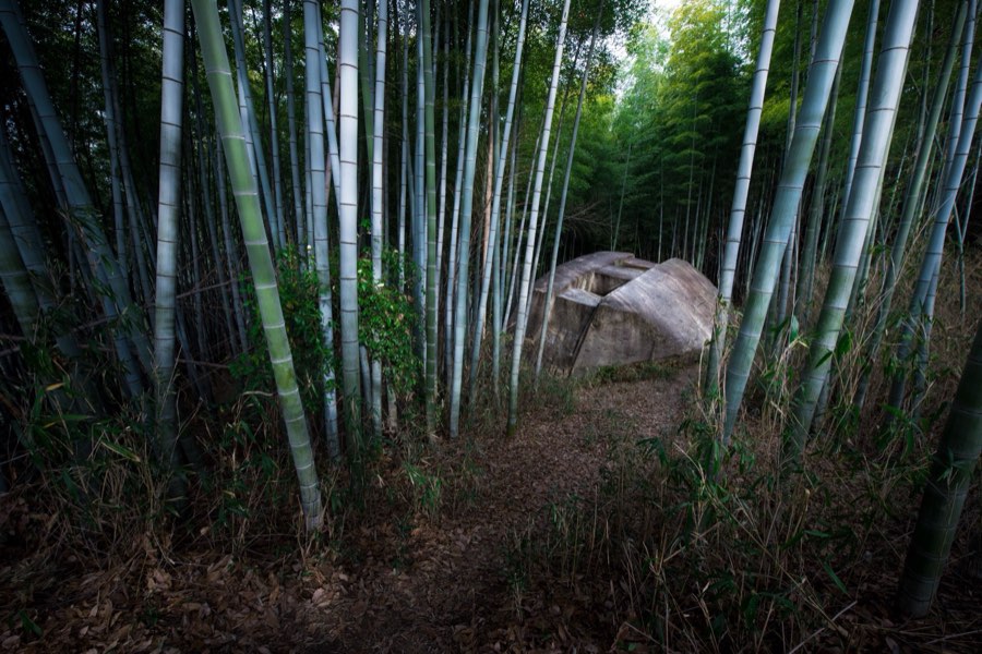 Nara, Hiver 2016, Japon. Photographie de Jordy Meow, 22/26