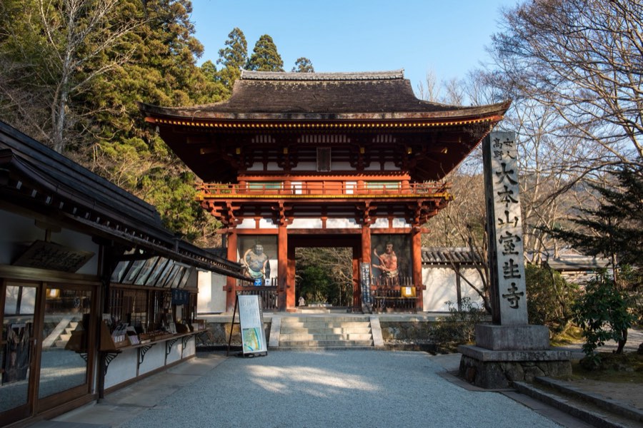 Nara, Hiver 2016, Japon. Photographie de Jordy Meow, 24/26