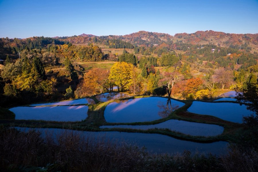Niigata, Automne 2017, Japon. Photographie de Jordy Meow, 124/302