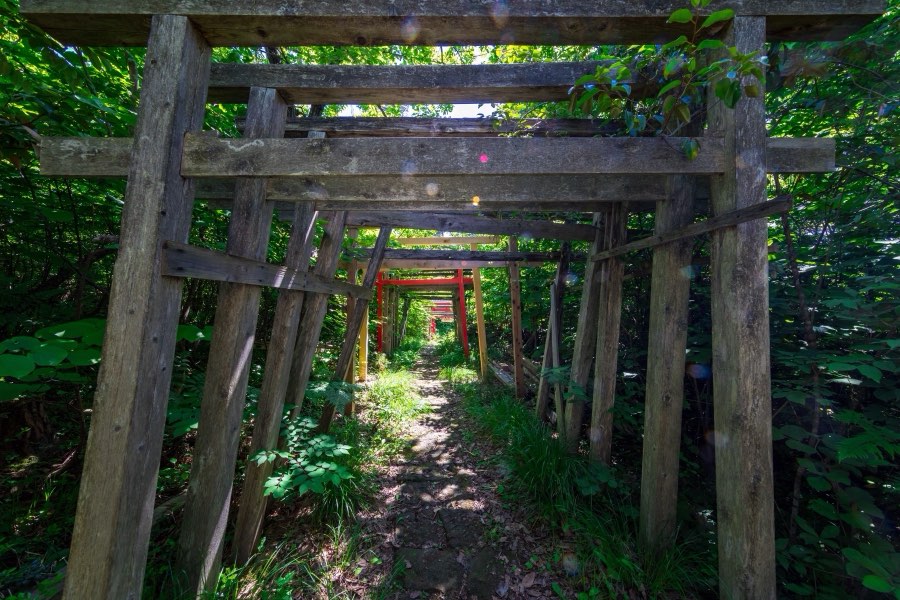 Niigata, Été 2017, Japon. Photographie de Jordy Meow, 81/229