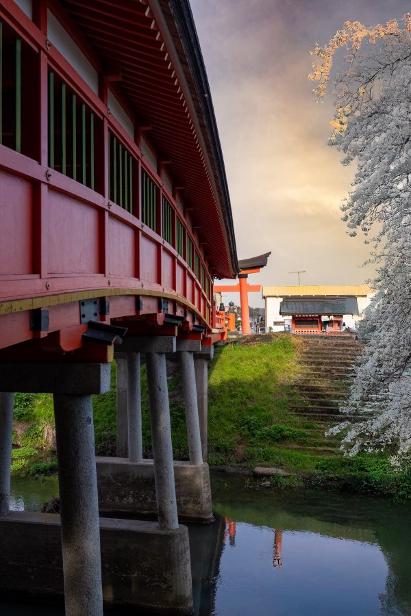 Oita, Printemps 2024, Japon. Photographie de Jordy Meow, 266/289