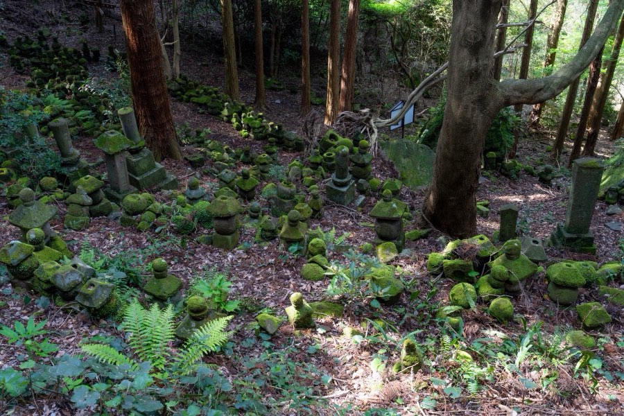 Oita, Printemps 2024, Japon. Photographie de Jordy Meow, 271/289