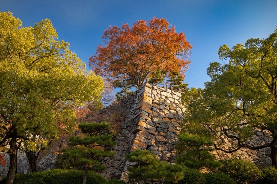 Okayama, Automne 2018, Japon. Photographie de Jordy Meow, 1/11