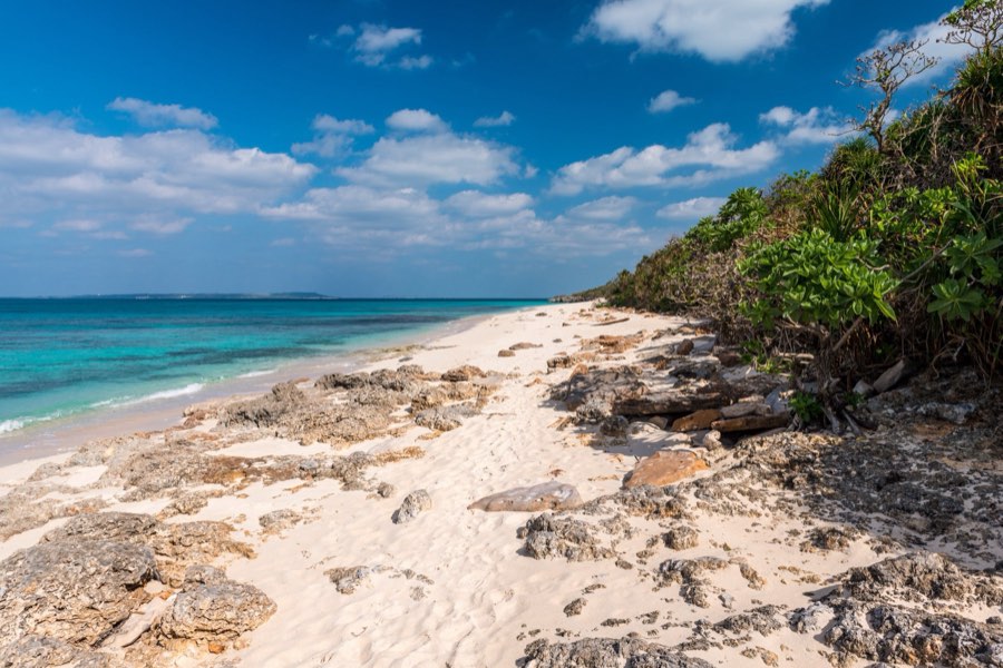 Okinawa, Automne 2012, Japon. Photographie de Jordy Meow, 12/14