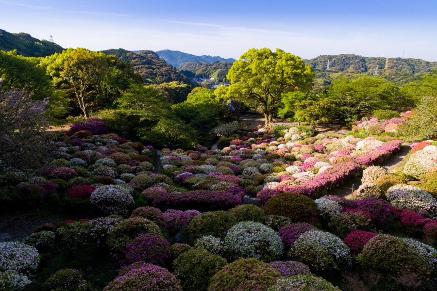 Saga, Printemps 2016, Japon. Photographie de Jordy Meow, 7/8