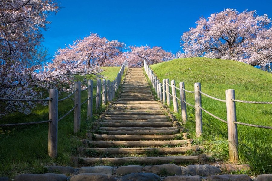 Saitama, Printemps 2017, Japon. Photographie de Jordy Meow, 4/15