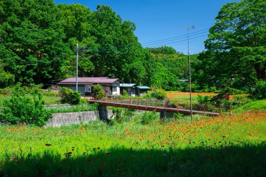 Saitama, Printemps 2019, Japon. Photographie de Jordy Meow, 9/15