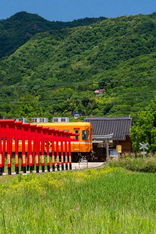 Shimane, Printemps 2026, Japon. Photographie de Jordy Meow, 1/15