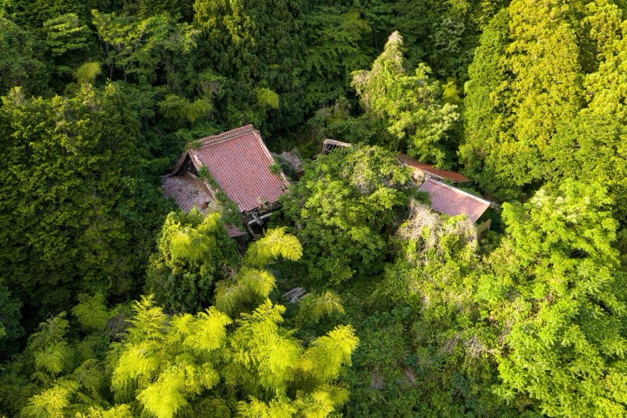 Shimane, Printemps 2026, Japon. Photographie de Jordy Meow, 7/15