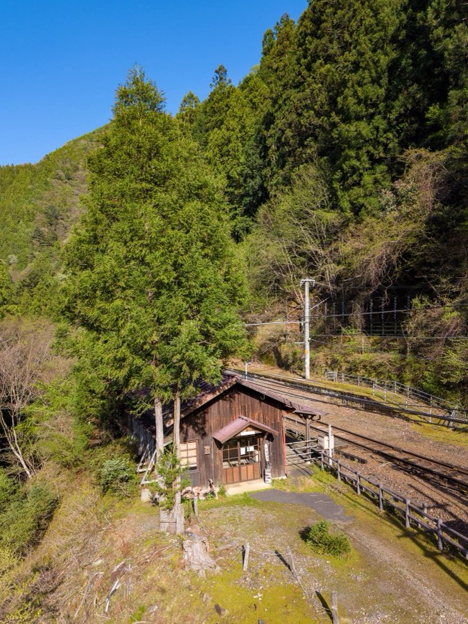 Shizuoka, Printemps 2026, Japon. Photographie de Jordy Meow, 149/289