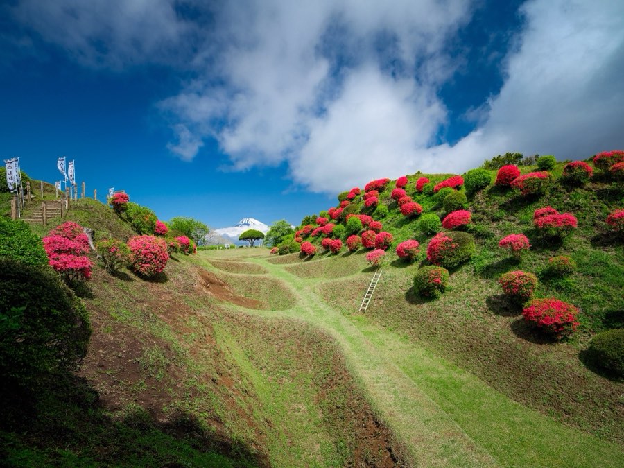 Shizuoka, Printemps 2022, Japon. Photographie de Jordy Meow, 150/289