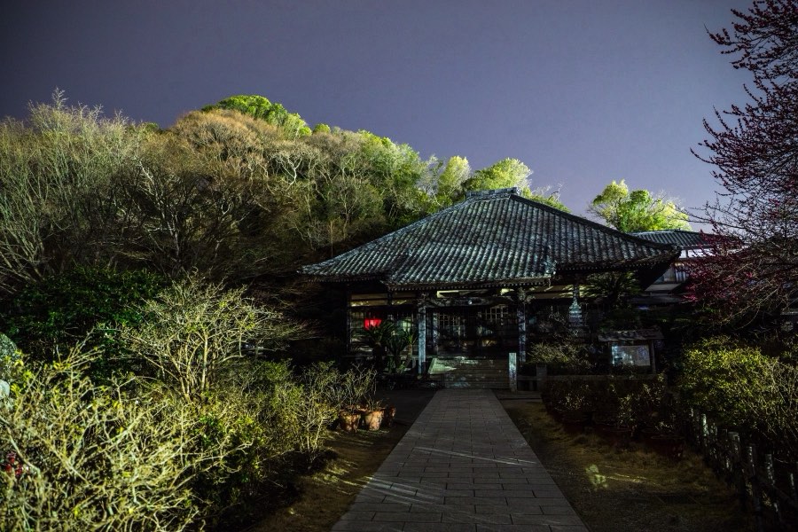 Shizuoka, Printemps 2018, Japon. Photographie de Jordy Meow, 156/289