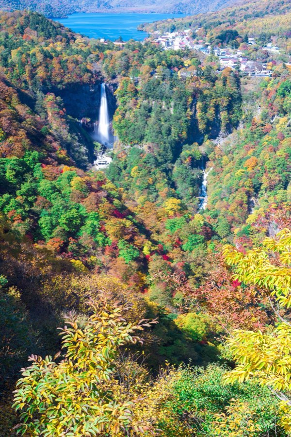 Tochigi, Automne 2012, Japon. Photographie de Jordy Meow, 80/302
