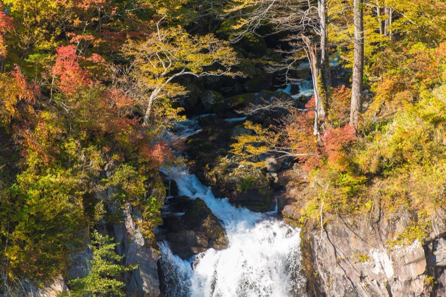 Tochigi, Automne 2012, Japon. Photographie de Jordy Meow, 83/302