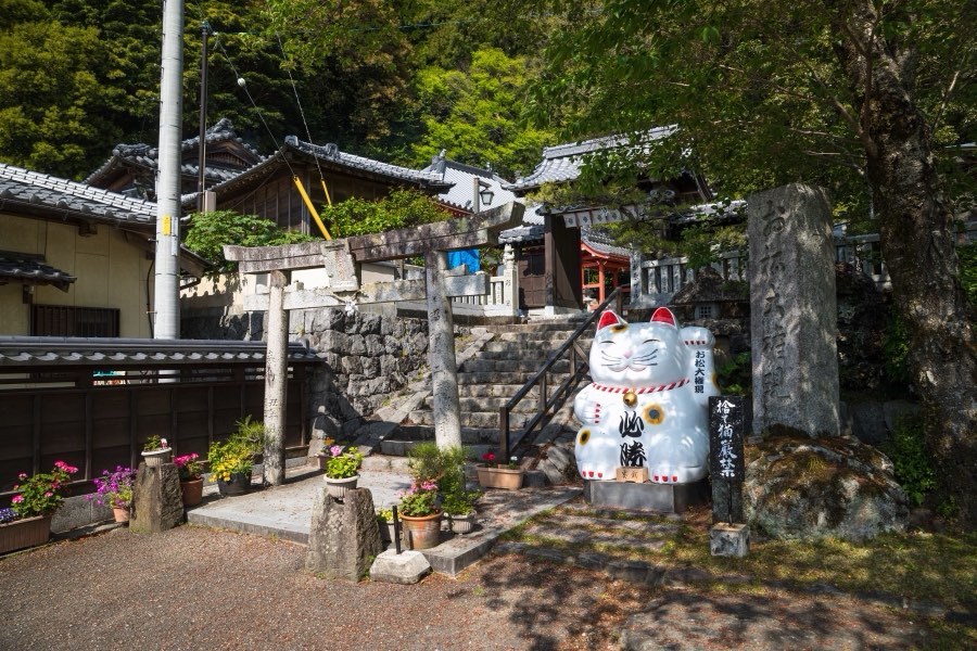 Tokushima, Printemps 2019, Japon. Photographie de Jordy Meow, 3/9